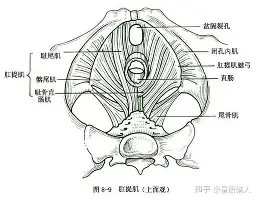 皇冠体育投注-这也行？窗口期广厦男篮调整名单以备NBA总决赛转会期巴塞罗那调整名单以备德国杯，巴塞罗那围绕中超单刀错失的简单介绍
